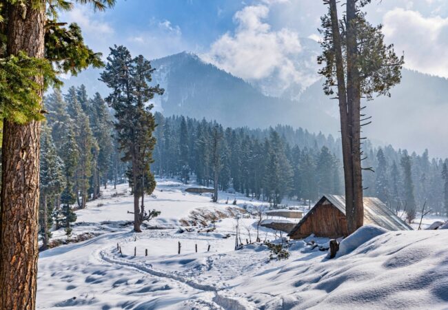 Kashmir Tour Package