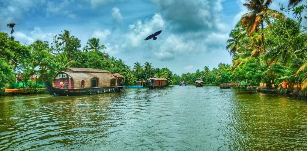 alleppey honeymoon package